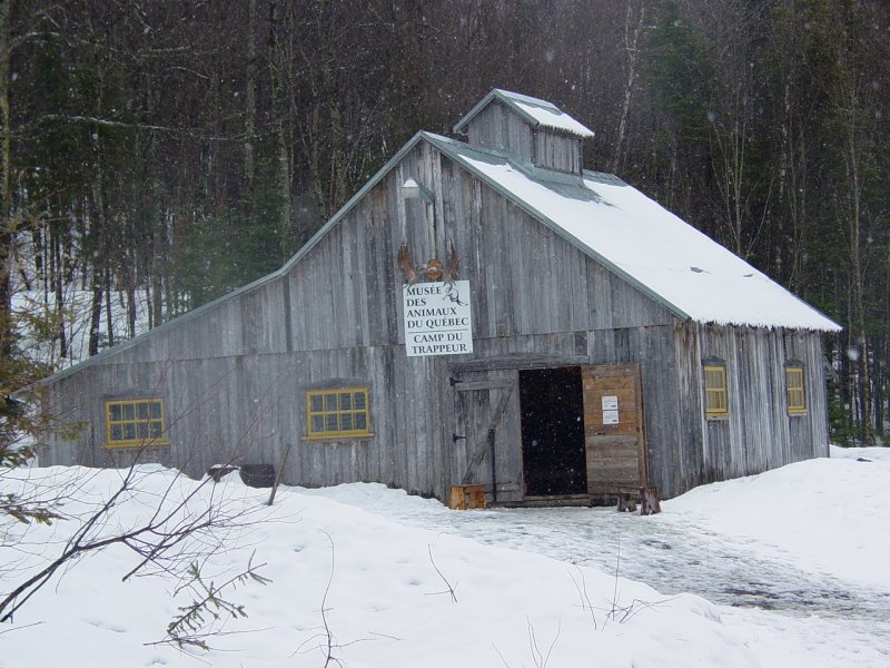 Québec Wildlife Museum - Click to Enlarge