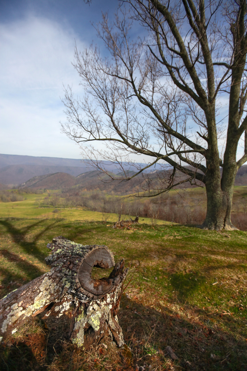 Smith Farm