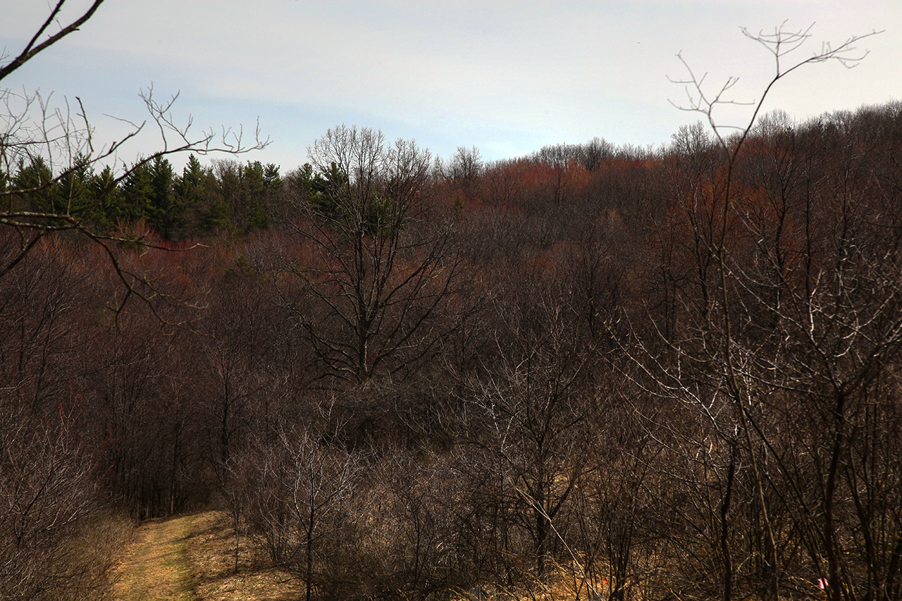 Fort Necessity