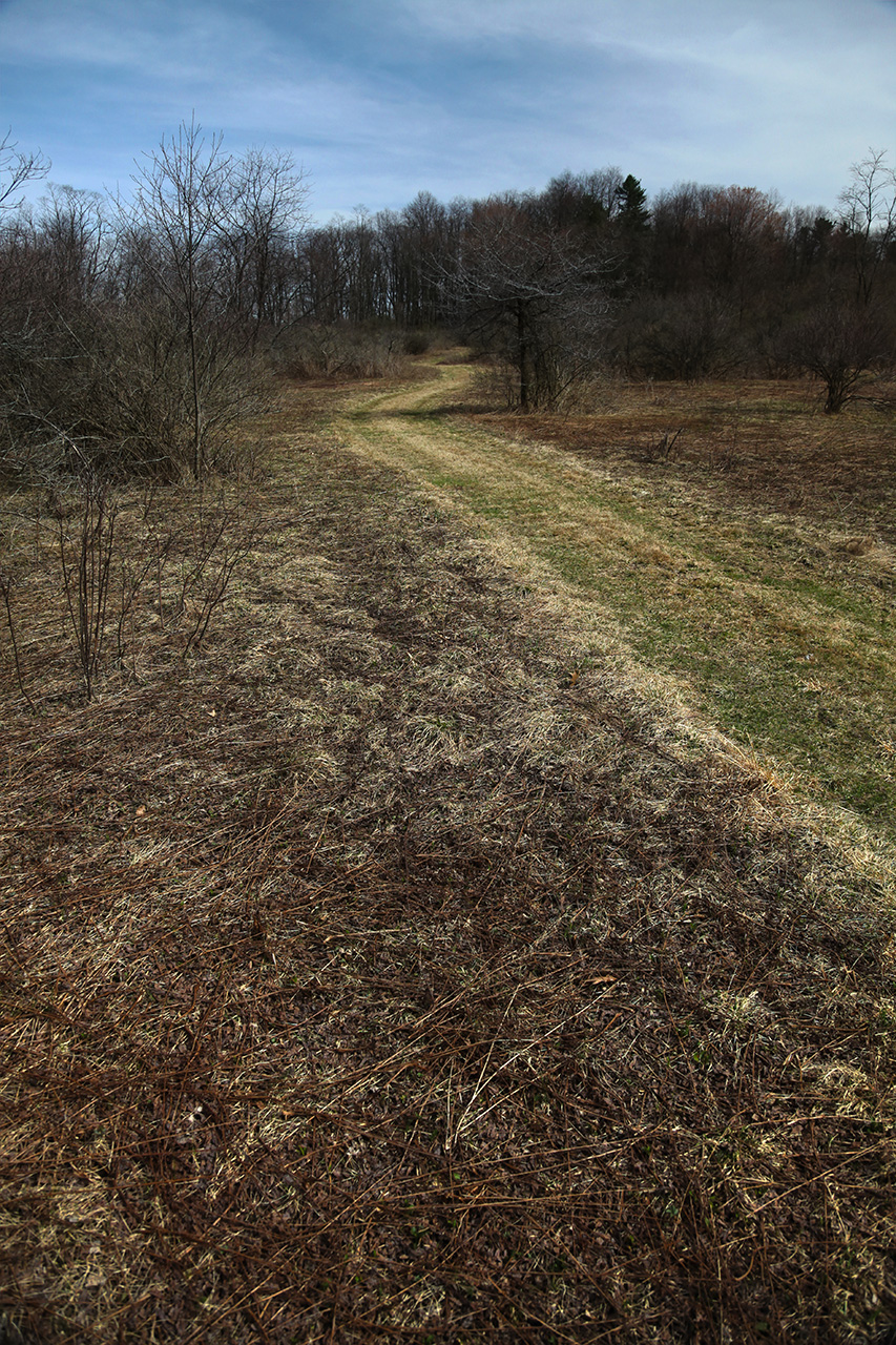 Fort Necessity