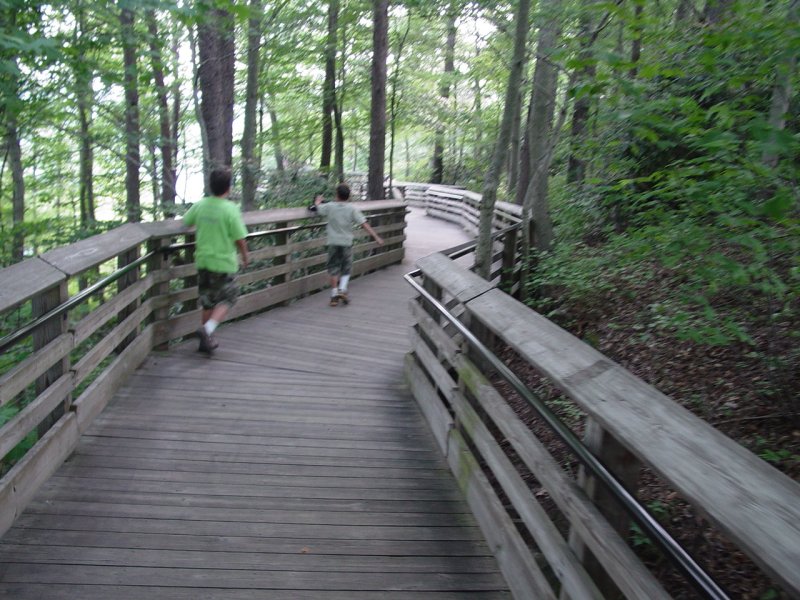 New River Gorge Observation Deck boardwalk
