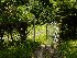 Yard Gate in Thurmond, WV