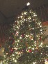 Decorated Tree