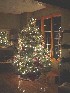 Christmas Tree Dressed for Evening