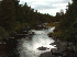 Stream