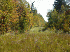 Trail