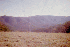 - View North from Gauley Ridge